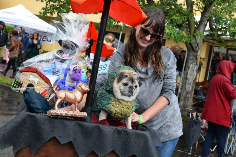 Contest winner Helga The Hutt. (Photo: Oregon Humane Society)